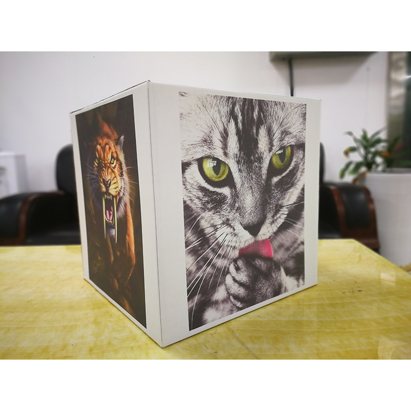 Принтер одного прохода CMYK