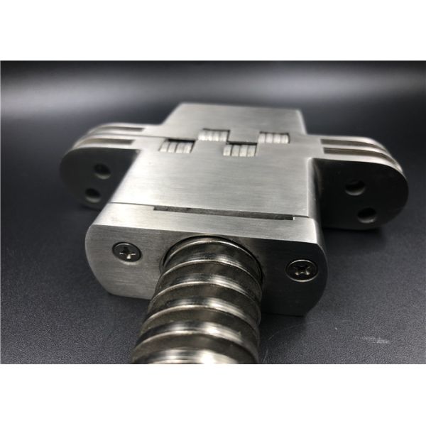 Bisagras ocultadas SOSS inoxidables del acero de la mortaja de la primavera de una bisagra invisible más cercana del soporte