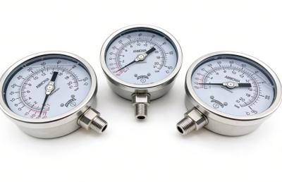 WINTERS PAM-10 Stainless Steel Ammonia Gauge with IP65 Protection and ±0.25%