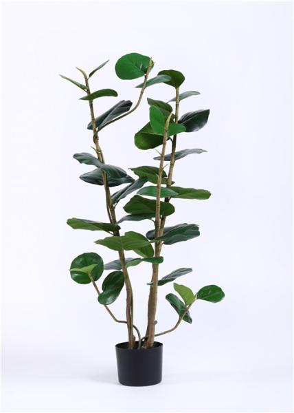 Public Area Artificial Garden Plants Polyscias Balfouriana Bailey 120cm 4 Ft