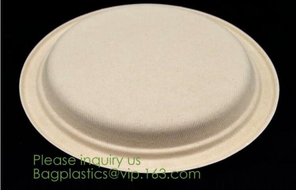 Food Eco Friendly Dinnerware Fruit Snack Biodegradable Corn Starch PLA Foamed