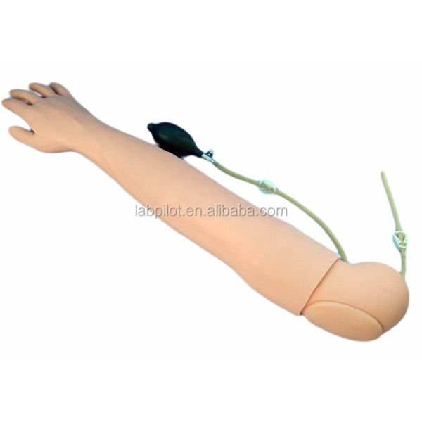 Medical Teaching Simulator Human Life Size Arm for Blood Drawing and Infusion Practice