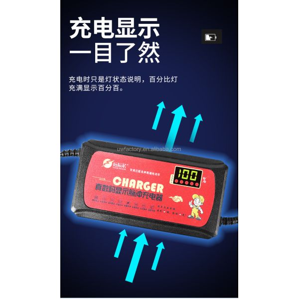 Output Voltage 48V Electric Bike Scooter Lead Acid Battery Charger for Private Mold Electric Bicycle 12AH/20AH/30AH/40AH
