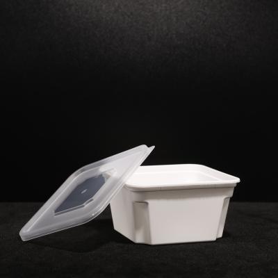 Caixa de almoço exterior de PP durável para alimentos quentes e frios com logotipo personalizado