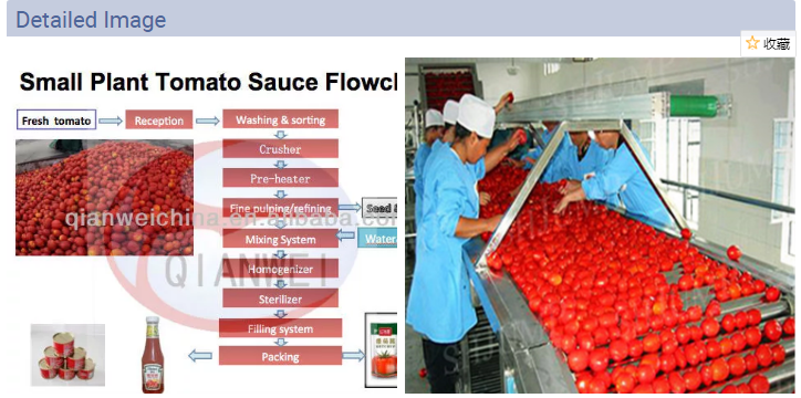 Concenrated Tomato Paste Processing Plant Concentrated Tomato Ketchup Production Line With Turn-Key Solution