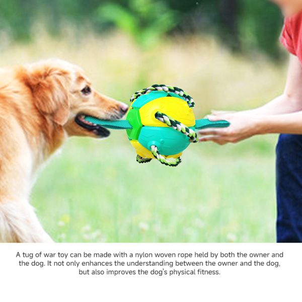 Perro de entrenamiento resistente a las mordeduras Bola de fútbol amistosa de perro de fútbol al aire libre Bola de fútbol con pestañas
