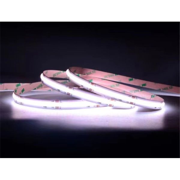 Bande néon LED flexible haute luminosité 12V 24V étanche Certifié CE RoHS Enseigne lumineuse pour magasin Décoration intérieure et extérieure