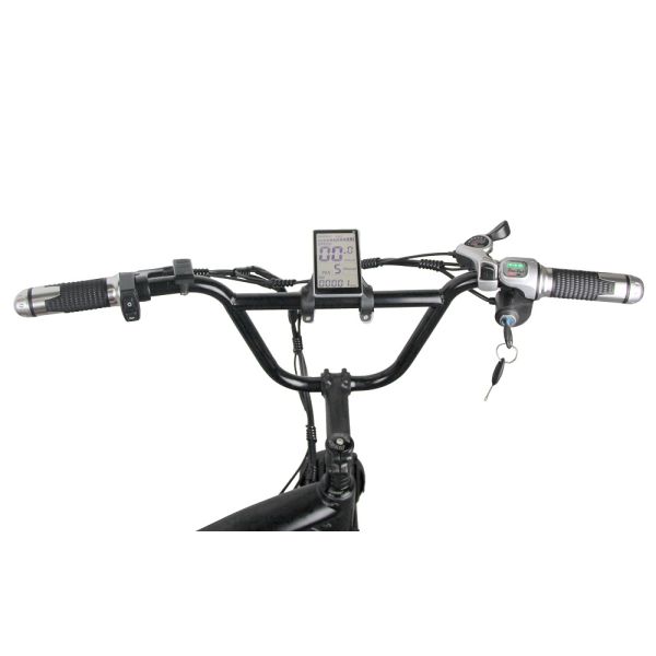 2000W Dual Motor Electric Bike with Rear Hub Motor Position and 3 hours Charging Time