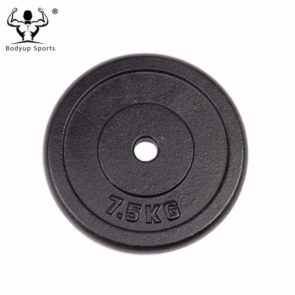 Cast Iron Black Painting Standard Weight Plate / Weight Disc