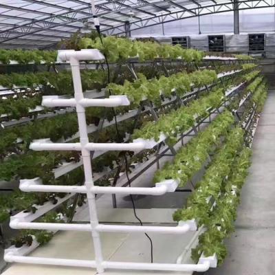 Sistema de cultivo de canais hidropônicos verticais de Nft para vegetais de salada de alface
