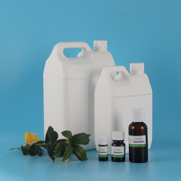 Natural Osmanthus Fragrance Essence Oil For Daily Use And Industrial Applications