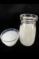 Reparación de paredes Nivelación de suelos y adhesión de baldosas Emulsión acrílica a base de agua Blanco