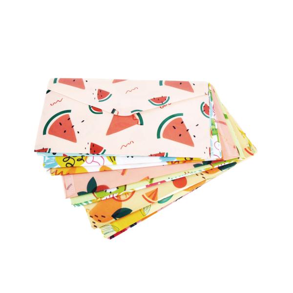 Customized Logo Printed Plastic Self Seal Gummed Cash Envelope for Budget Management