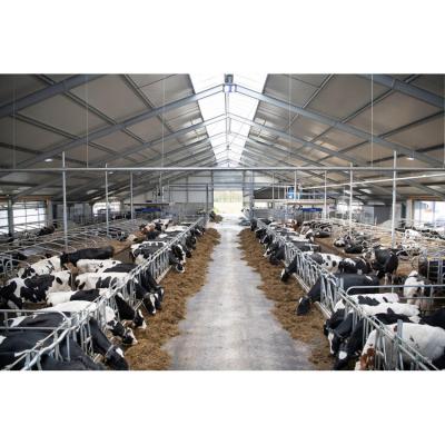 Estaleiro de aço pré-fabricado para ginásio