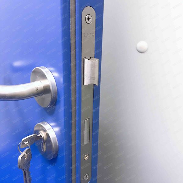 Customized Laboratory Clean Room Doors Anti vapor Coating With Elbow Pull Handle