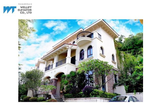 Easy Maintenance Home Lift Elevator , Simple Operating Systems Domestic Passenger Lifts