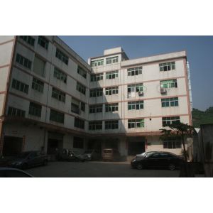 Shenzhen Strongd Model Technology Ltd.