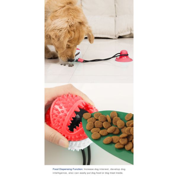 Eco Friendly Small Dog Teeth Cleaning Toys ODM Rally Training Puppy Teething Toys