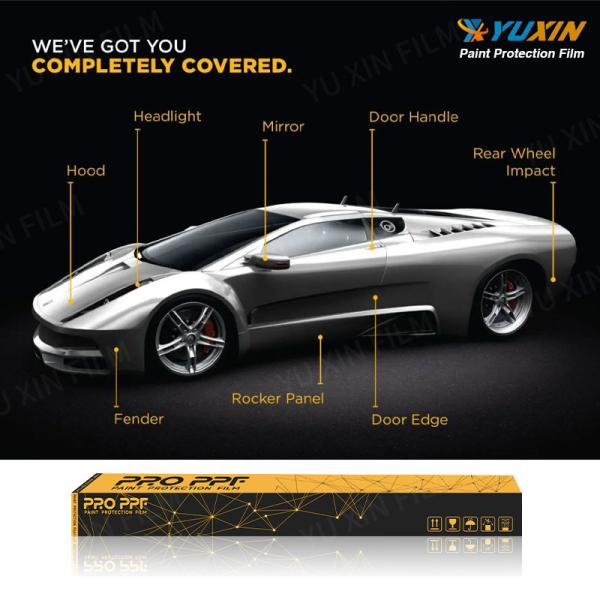 Customized Car Paint Protection Film Hydeophobic TPU Protection Film Wth Ashland Glue