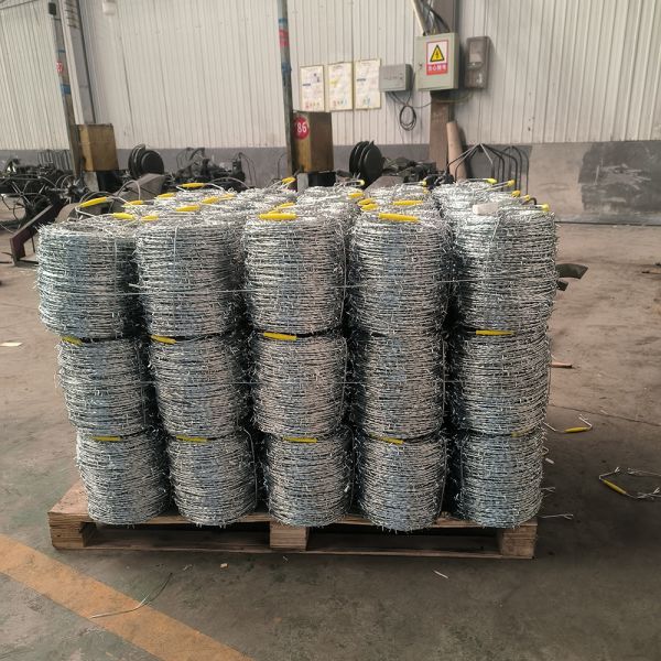 Safety Galvanized Barbed Wire Fence Wide Range Barbed Wire Pvc Coated