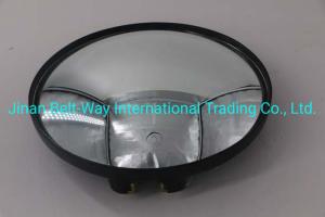 Sinotruk HOWO Truck Parts Bottom View Mirror Wg1662770010 in Standard Black High