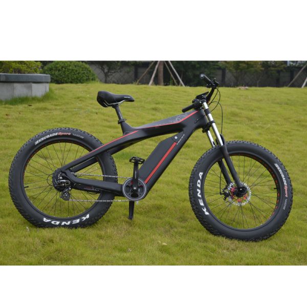 48V Electric Carbon Fiber Bike with 750W or 1000W Brushless Motor 26