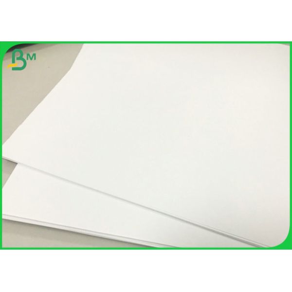 Белая бумага Rolls офсетной печати Woodfree бумажная длинная Grane 60gsm 70gsm 80gsm 100gsm Белая бумага Ролльс офсетной печати Воодфре бумажная длинная Гране 60гсм 70гсм 80гсм 100гсм
