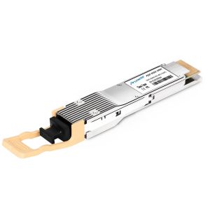 800G QSFP DD and OSFP