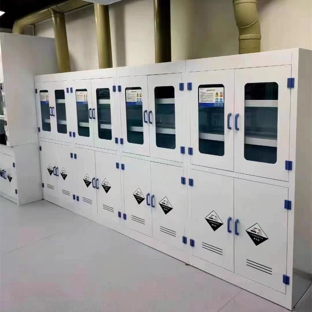Anti Corrosive PP Storage Cabinet Double Acid Base Storage Cabinet