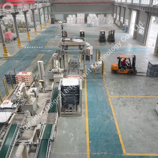 Robot Palletizing Conveyor Line Carbon Steel Automated Pallet Conveyor