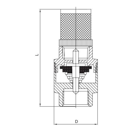 Removable DIN259 Oil Check Valve Brass Foot Valve With Strainer Stainless Steel