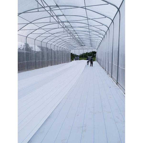 200micron PE Film Ventilation System Greenhouse High Security Weather Proof