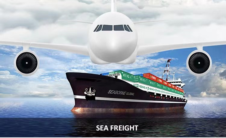 LCL Sea Freight Forwarder China To NZ Boston Wellington Auckland Hamilton