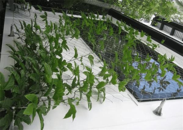 AISI 304L Garden Trellis Net , 1.4401 Plant Support Netting Mesh 4.0mm