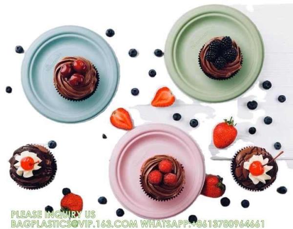 Eco-Friendly Customized Size Grease Oil Water Proof Microwavable Plate Disposable Compostable Sugarcane Bagasse