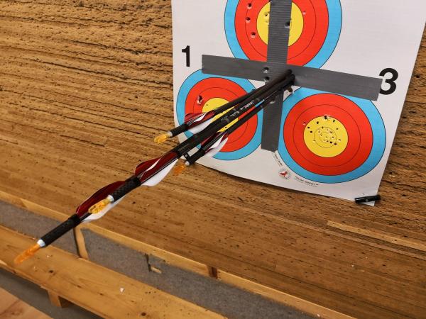 3d alvo, tiro ao arco interno, peso leve 19/64 retidão .001-.003 da espinha 300/350/400/500/600 setas do carbono da explosão
