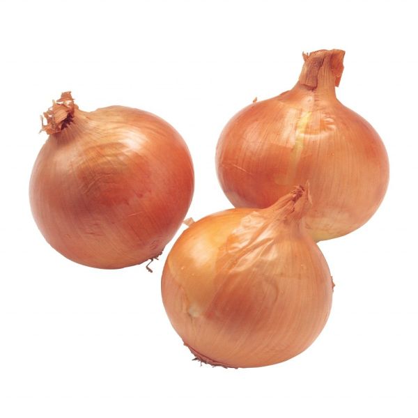 Onion from Shandong Origin 2023 Crop Yellow and Red Onion Supply with 100% Maturity