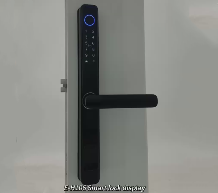 ELA High quality waterproof intelligent lock outdoor aluminum double-sided fingerprint door lock E-H106