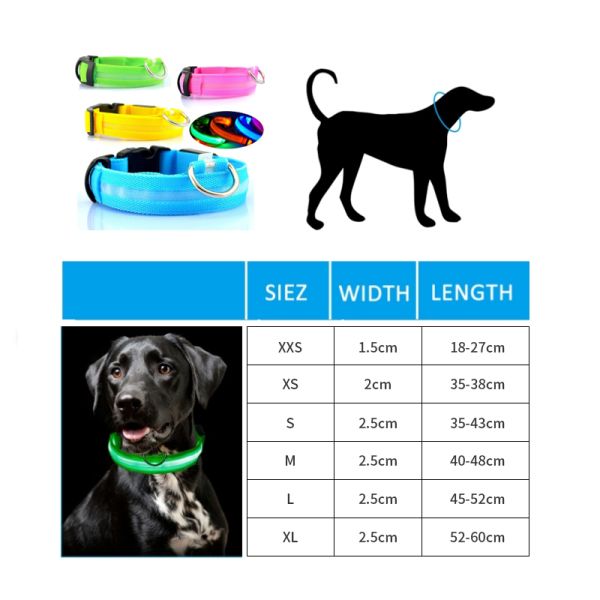 Collar para perros de Hundehalsband iluminado Recargable collar para mascotas de nylon XS XL LED