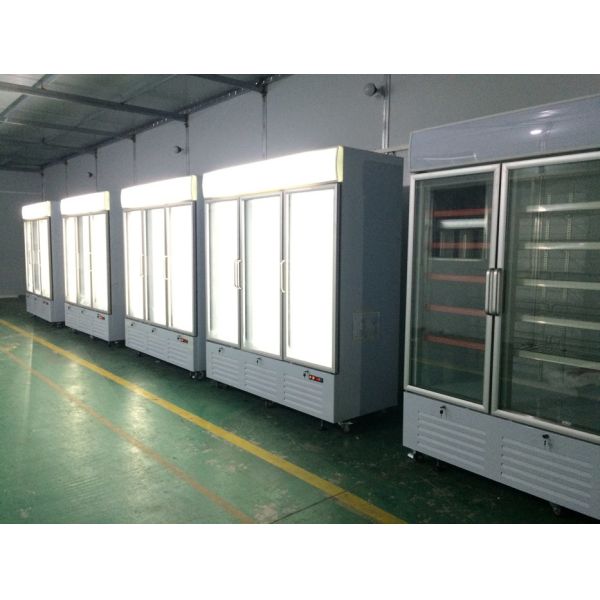 Supermarket Reach In Upright Glass Door Freezer Merchandiser With LED Canopy