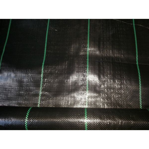 Polypropylene Woven Plastic Ground Cover , 4.2x100m 100gsm Black Garden Fabric