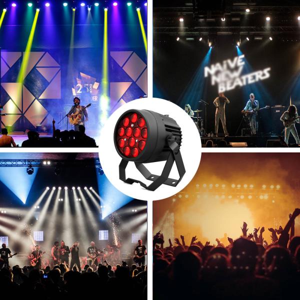 12x10W RGBW 4in1 Outdoor IP65 Waterproof Heavy Cast Aluminum Flat Led Par Light