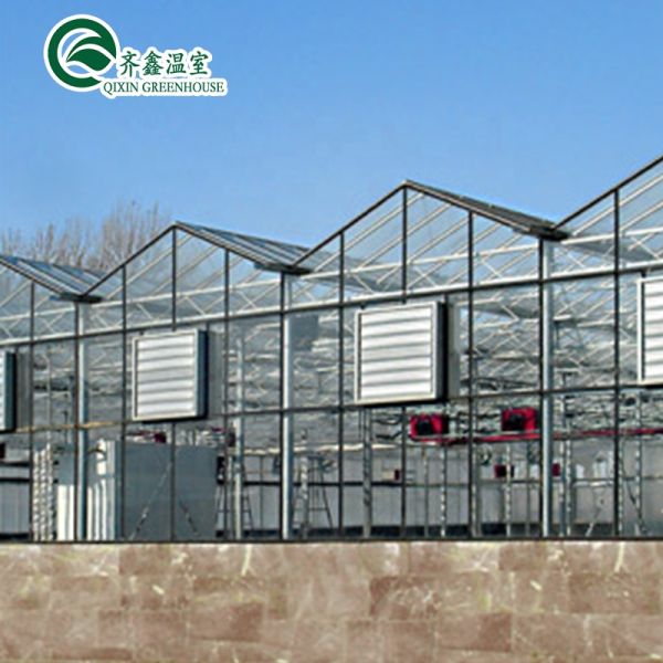 Single Span Greenhouse Mushroom Growing Equipment Covered with Transparent Plastic Film