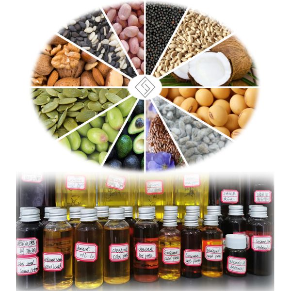 Hydraulic Sesame Oil Press Machine