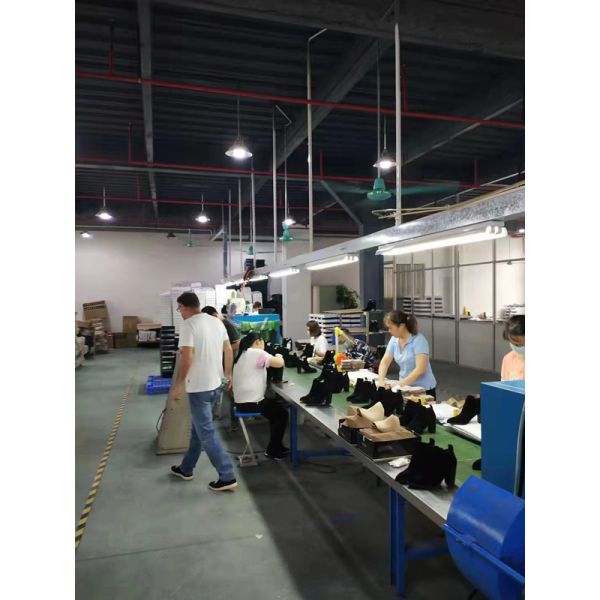 Dongguan Chenzhou Trading Co., Ltd.