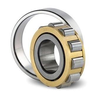 CPM 2181 Cement Mixer Truck Bearings 18x30.52x13mm Full Complement Roller Bearing