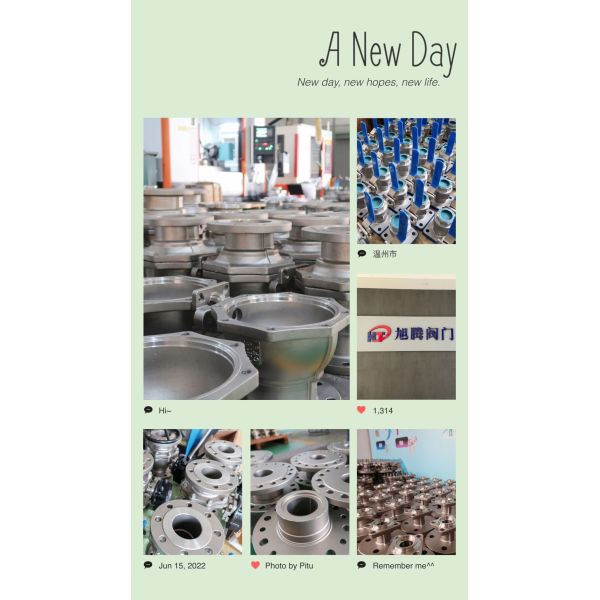 ANSI Swing Flanged Check Valve CE APPROVED Ориентировочное время доставки и быстрая доставка