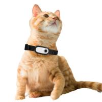 HD 1080P Collar montado cámara de mascotas batería recargable gato perra cámara de cuello