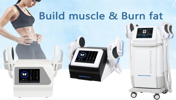 Electric EMS Sculpting Machine Commercial Professional Muscle Stimulator Machine 230V