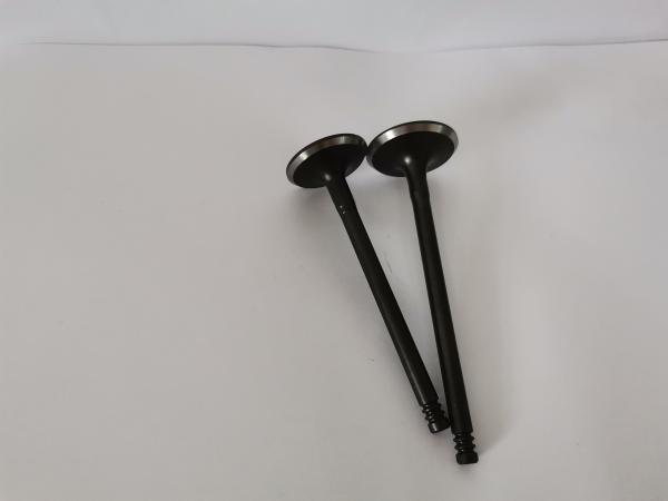 Steel Car Engine Intake Valve for Gm Astra / Vectra / Zafira 2.0l / 2.2l / 3140-AC